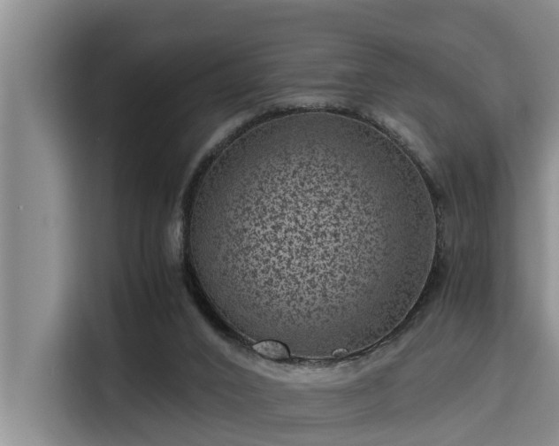 X0000115370016200911101255