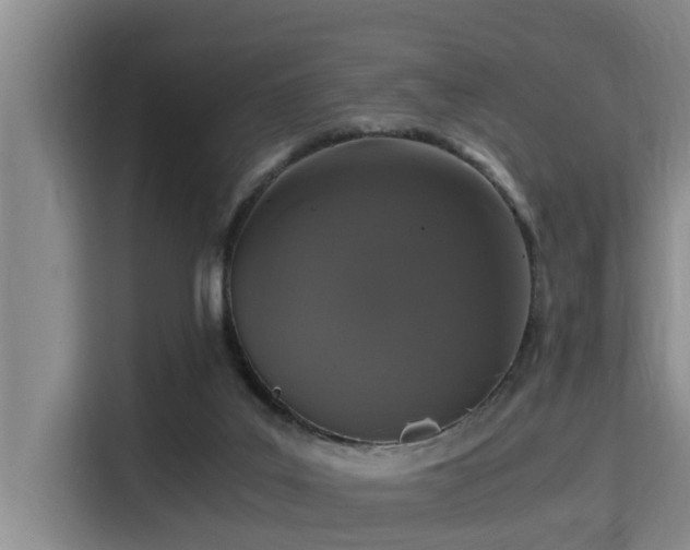 X0000115370019200911101255