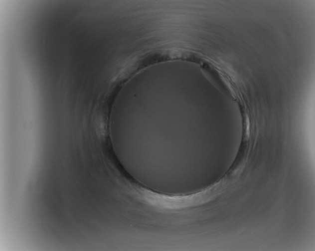 X0000115370039200911101255