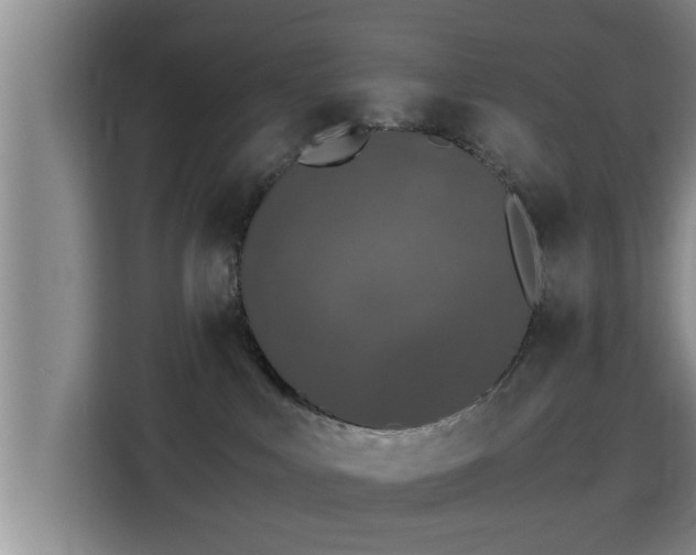X0000115370043200911101255