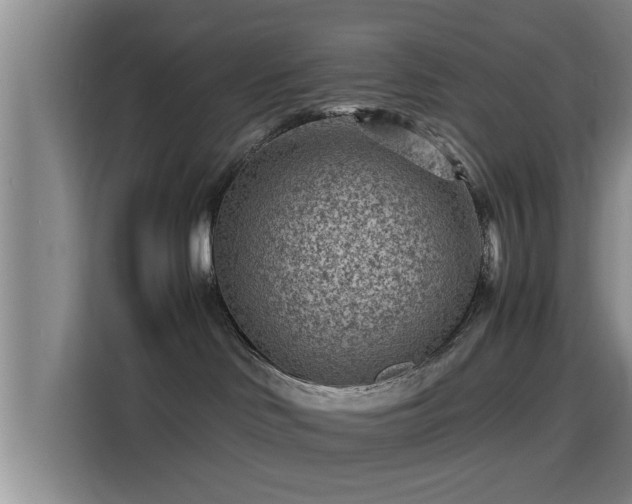 X0000115370046200911101255