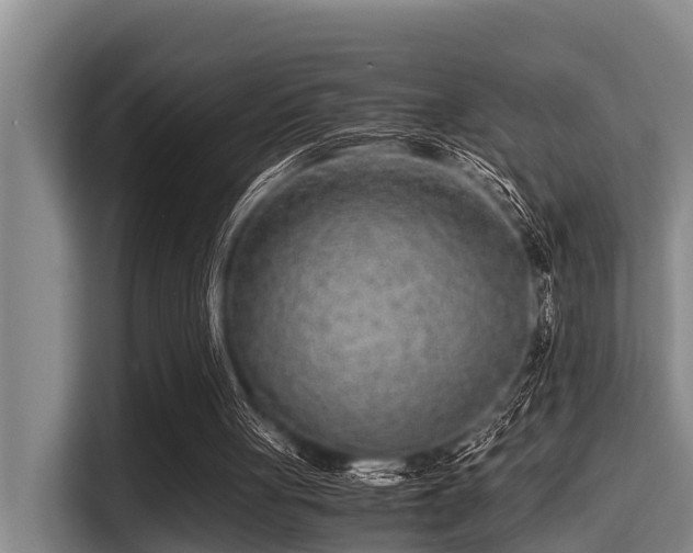 X0000115370051200911101254