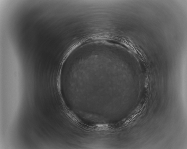 X0000115370052200911101254