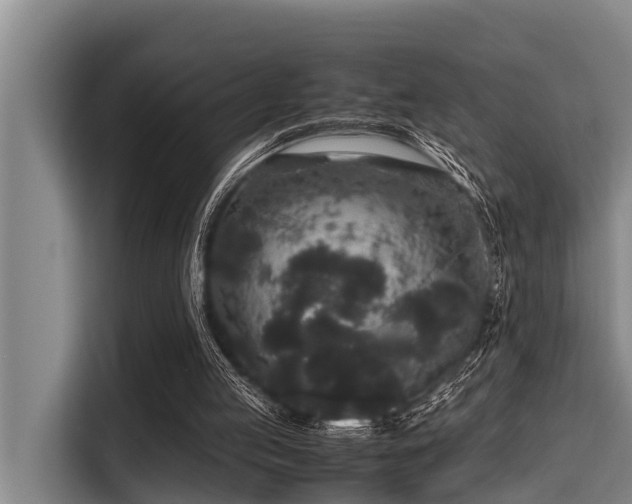 X0000115370053200911101254