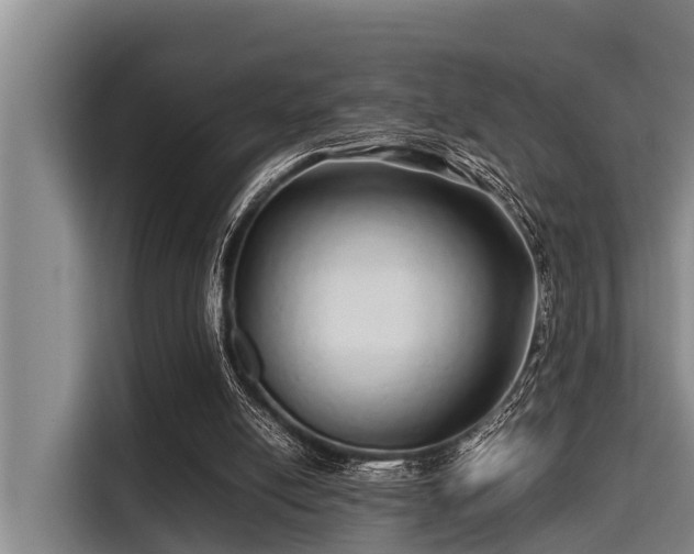 X0000115370054200911101254