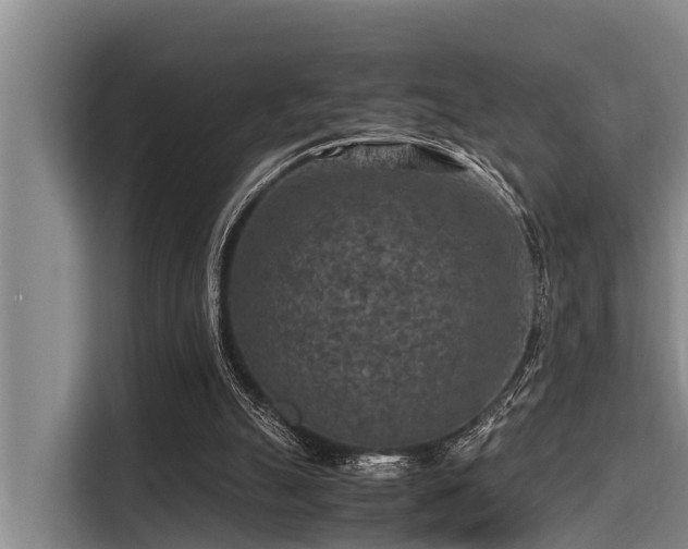 X0000115370055200911101254