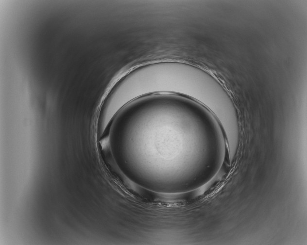 X0000115370056200911101254