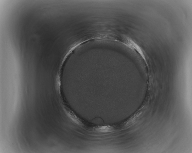 X0000115370059200911101254