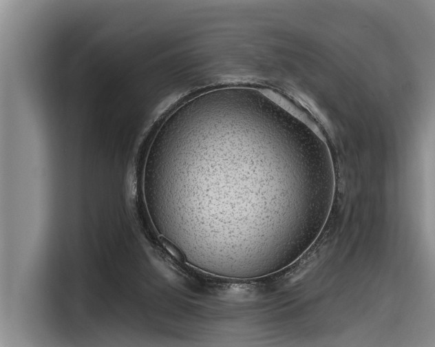 X0000115370060200911101254