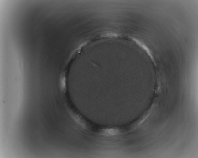 X0000115370067200911101254
