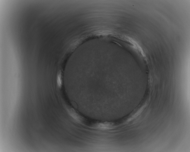 X0000115370069200911101254