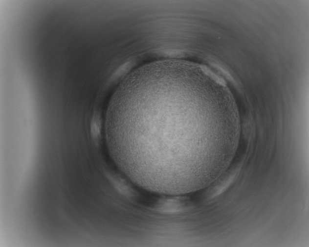 X0000115370072200911101254