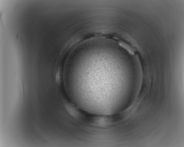 X0000115370074200911101254