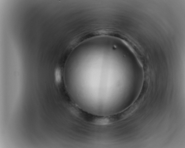 X0000115370075200911101254