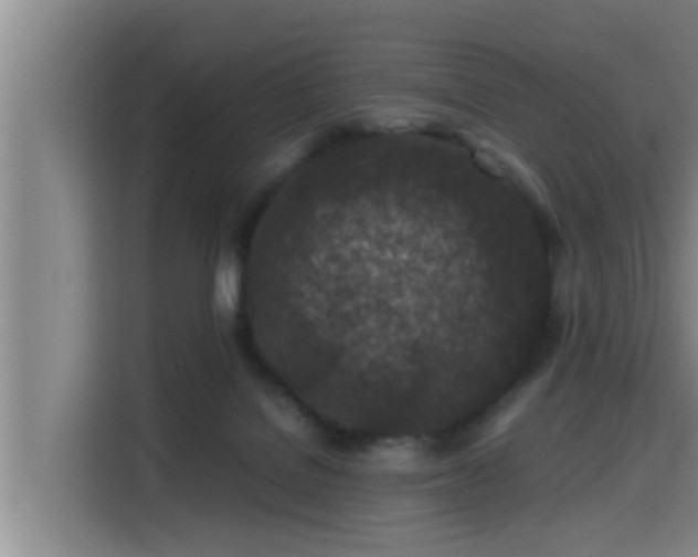 X0000115370076200911101254