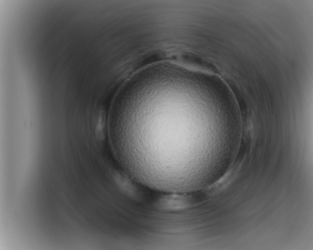 X0000115370082200911101255