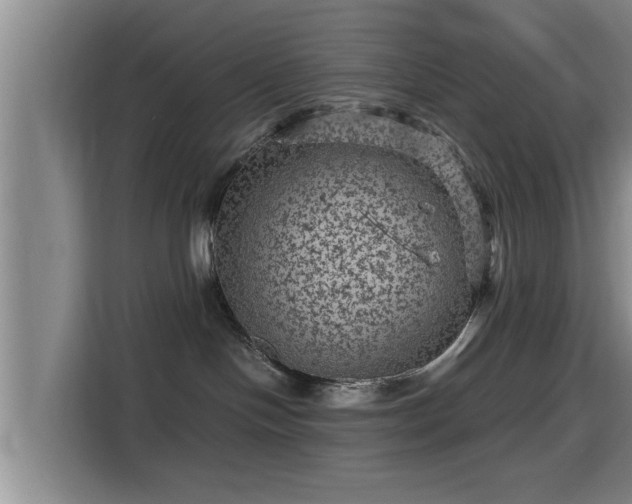 X0000115370094200911101255