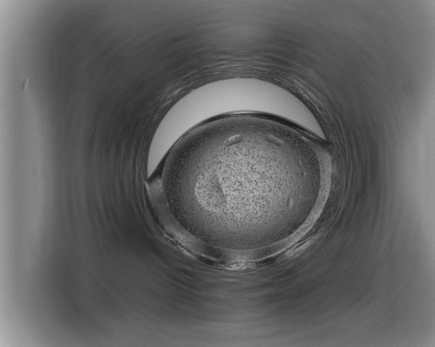 X0000115370096200911101255