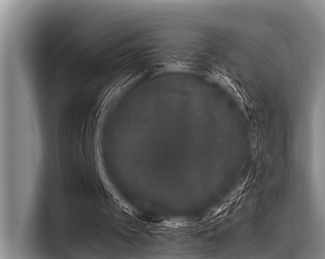 X0000115370097200911101254