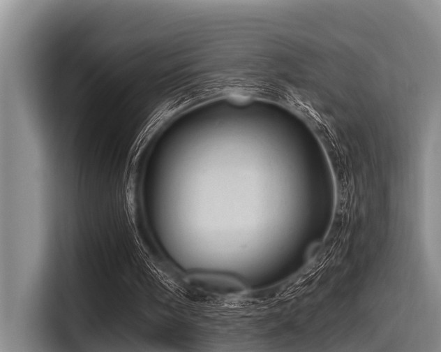 X0000115370098200911101254