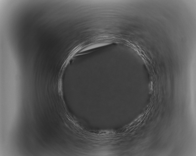 X0000115370099200911101254