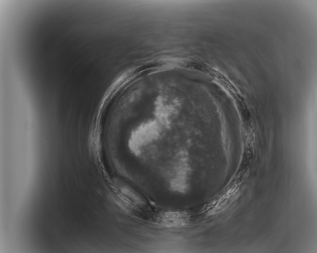 X0000115370101200911101254