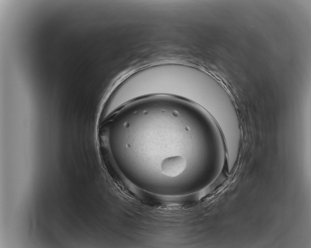 X0000115370104200911101254