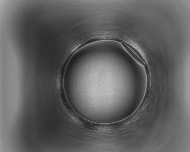 X0000115370105200911101254