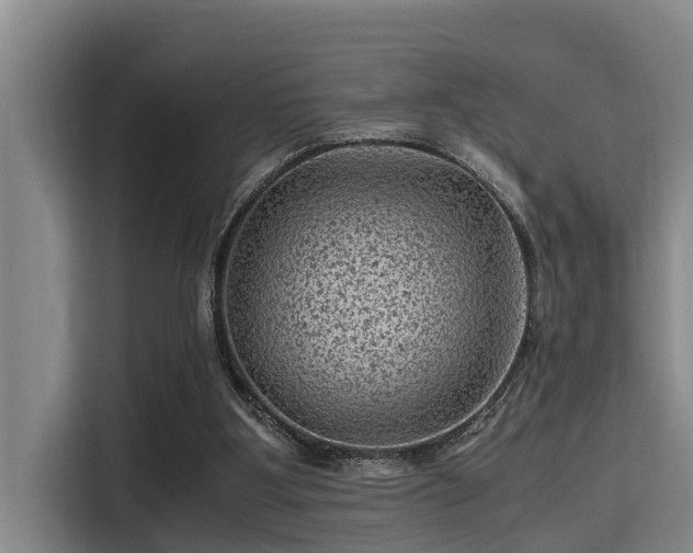 X0000115370107200911101254