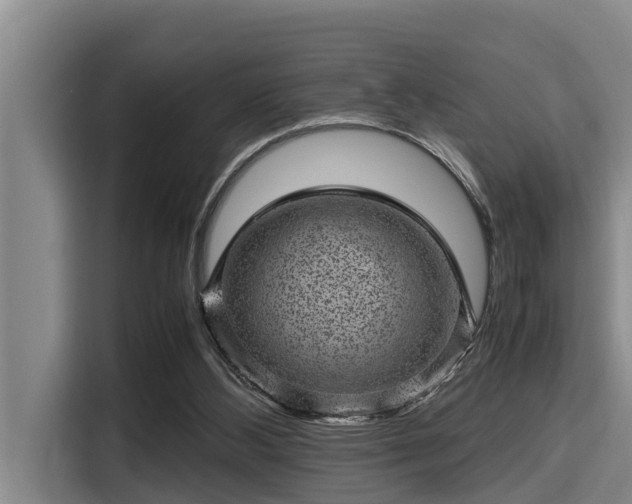 X0000115370108200911101254