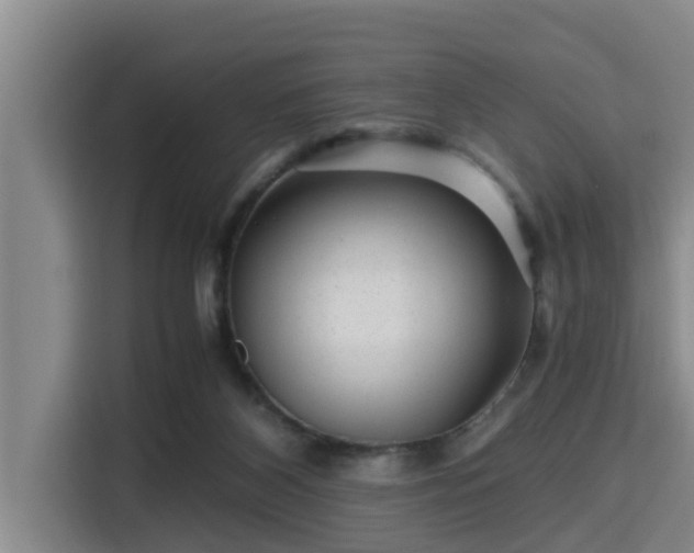 X0000115370116200911101254