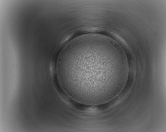 X0000115370119200911101254