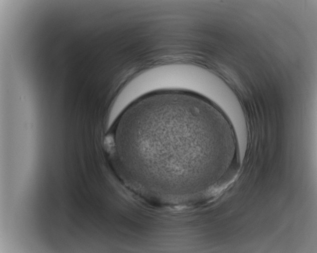 X0000115370120200911101254