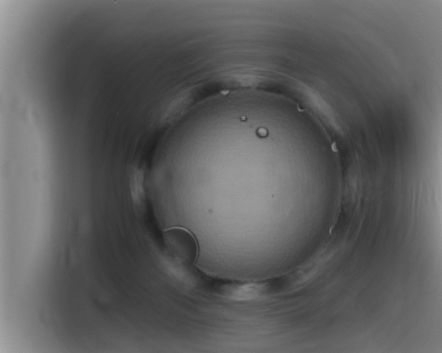 X0000115370122200911101254