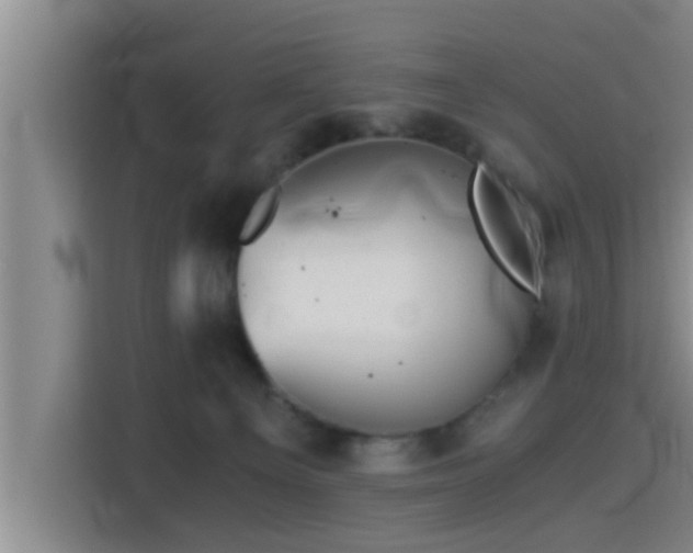 X0000115370129200911101254