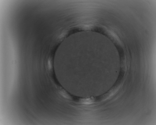 X0000115370131200911101254