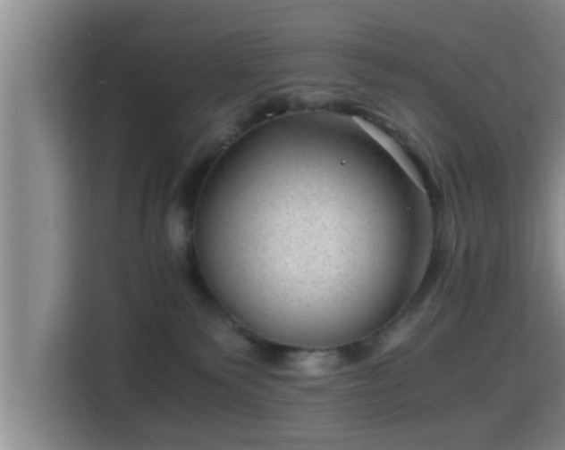 X0000115370135200911101254