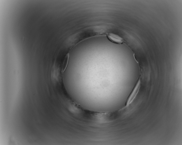 X0000115370136200911101254