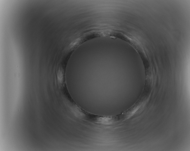 X0000115370139200911101254