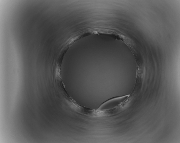 X0000115370143200911101254