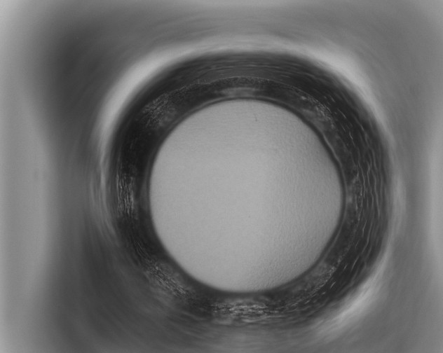 X0000115370146200911101253