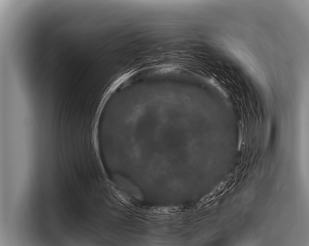 X0000115370147200911101253