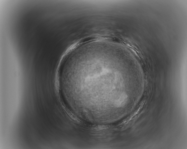 X0000115370149200911101253