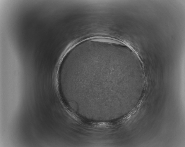 X0000115370151200911101253