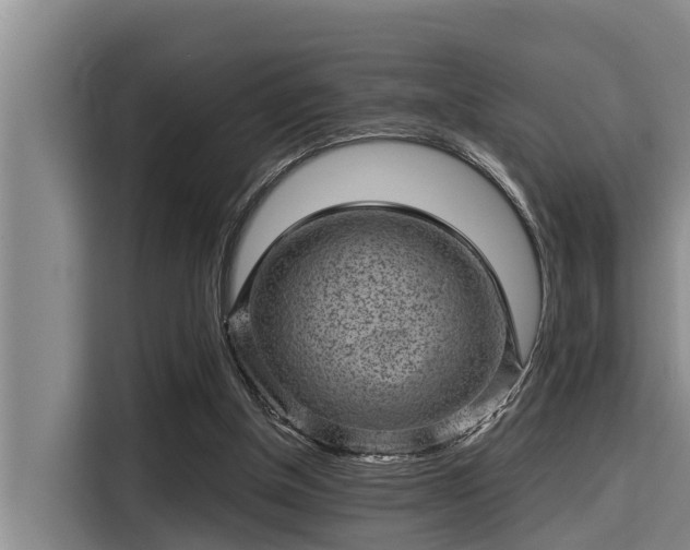 X0000115370154200911101253