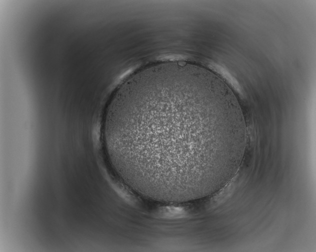 X0000115370159200911101253