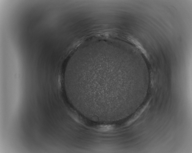 X0000115370161200911101253