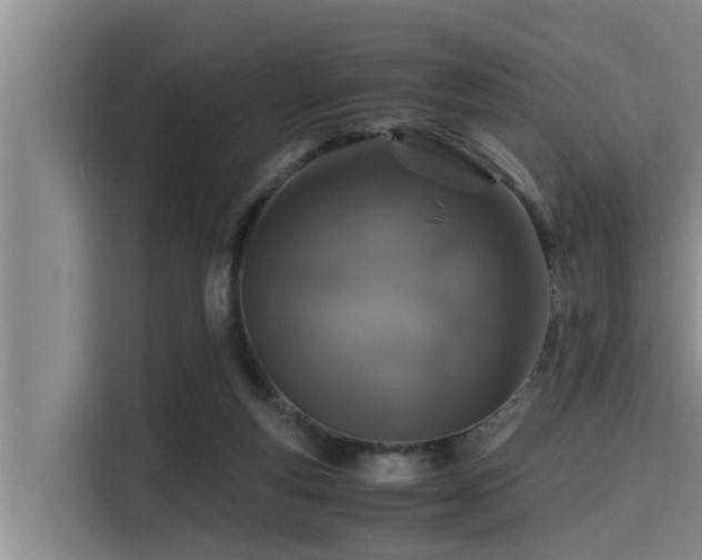 X0000115370163200911101253