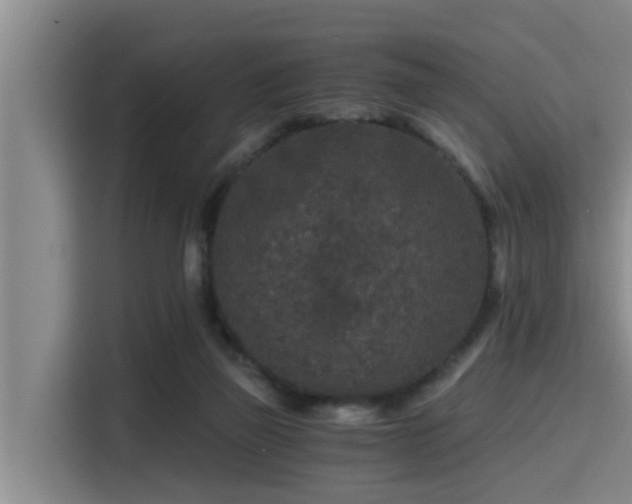 X0000115370165200911101253