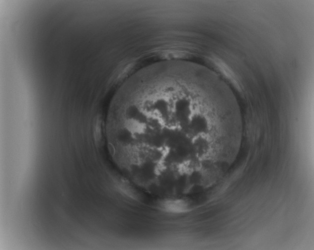 X0000115370169200911101253